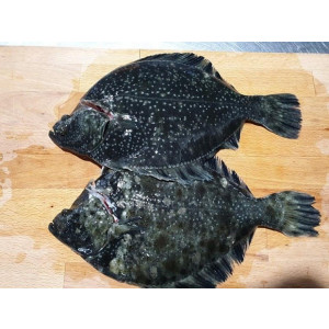 연안 강도다리세꼬시 200g