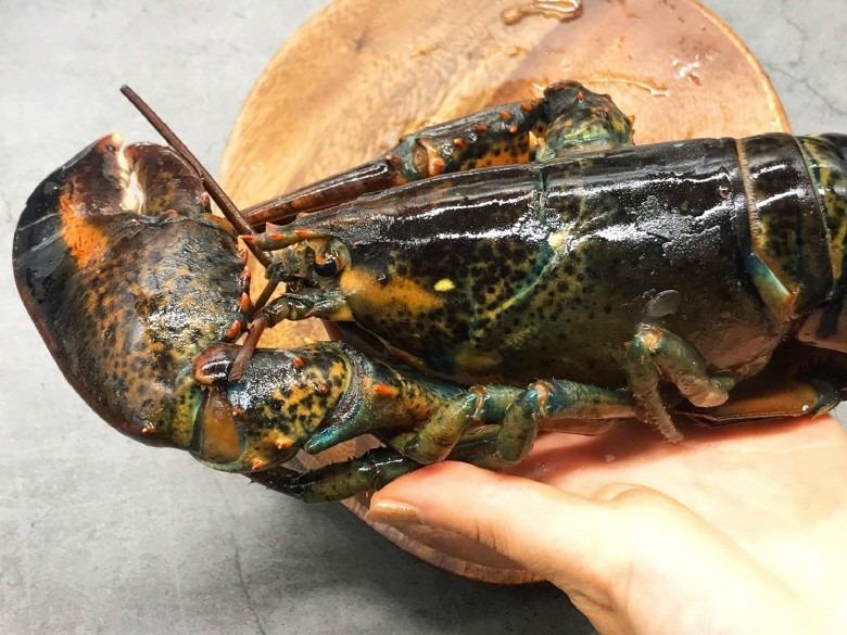 연안 활 랍스타 500g