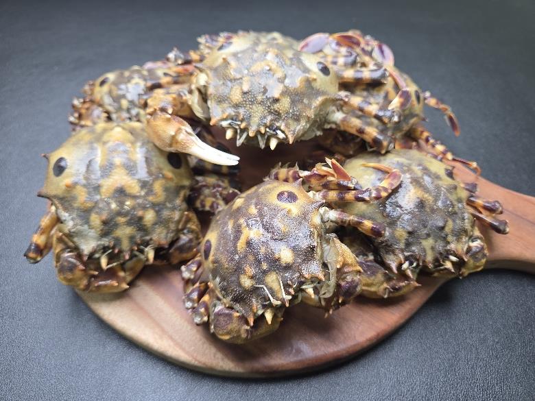 연안 범게 1kg