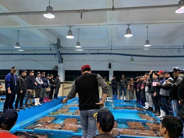 연안 급냉 봄주꾸미 1kg