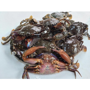 연안 급냉 돌게 1kg