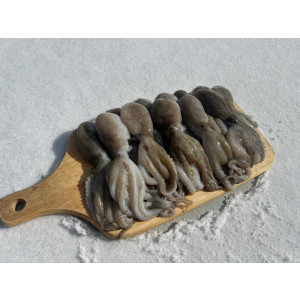 대왕 선동 활 쭈꾸미 1kg