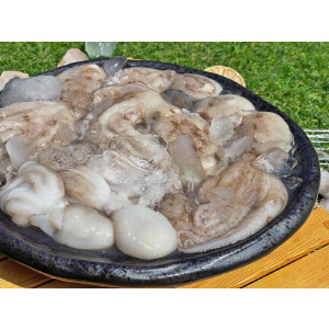 급냉 탱탱 알주꾸미 1kg