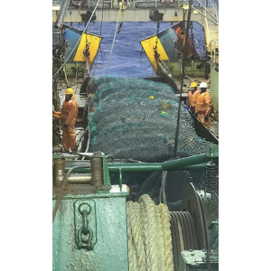 총알한치 500g