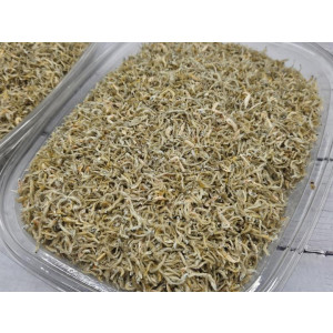 만능 지리 멸치 500g