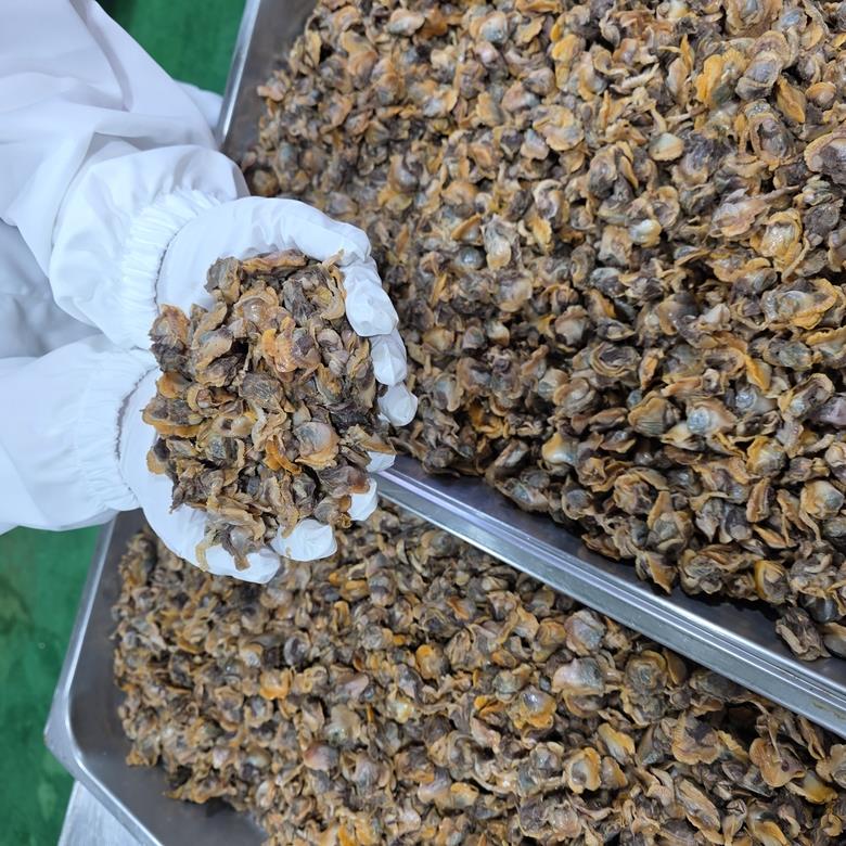 양념 새꼬막무침 400g