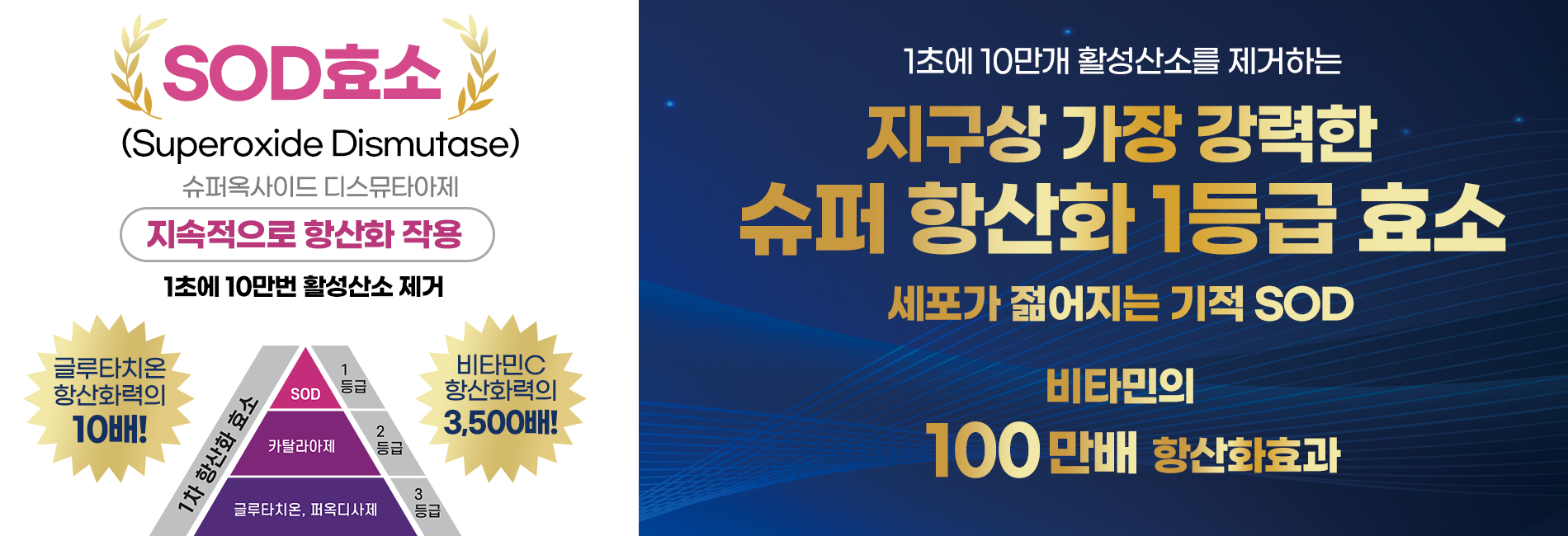 상단배너1